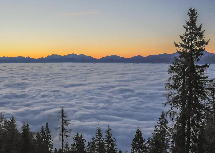 Petit Domek alpejski *