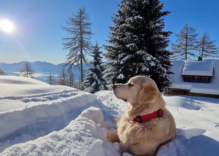 Domek alpejski Petit *